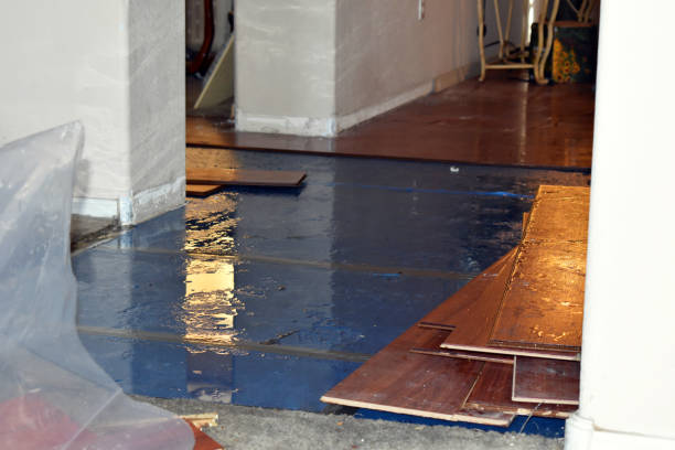 Professional Sewage Cleanup technician working in Andover, KS